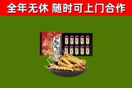 昌平区回收冬虫夏草价格